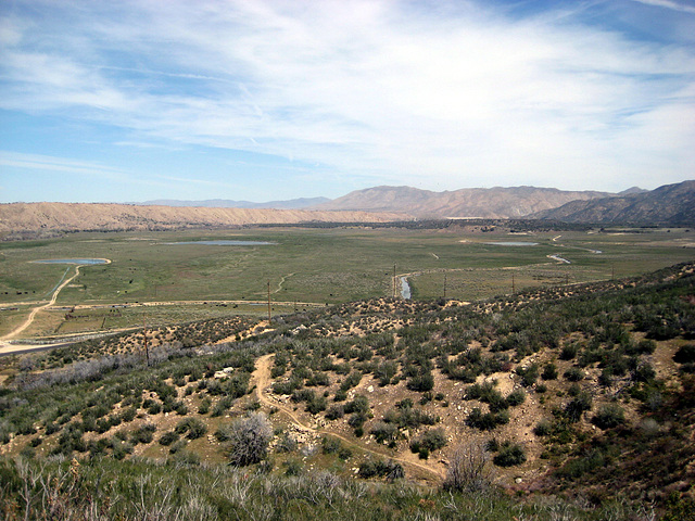 Mojave River 57