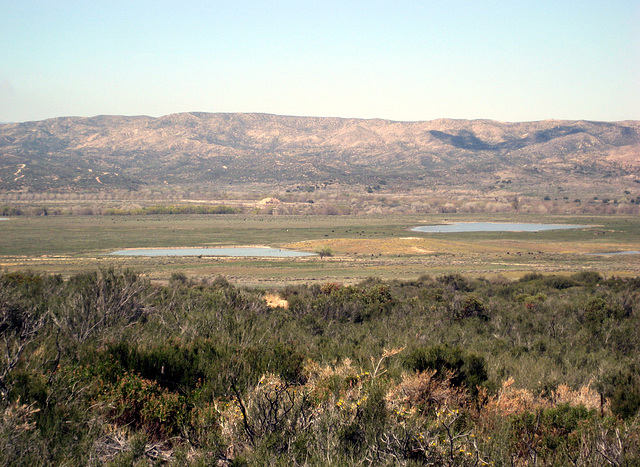 Mojave River 54