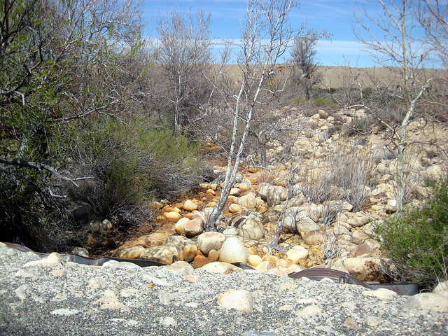 Mojave River 53