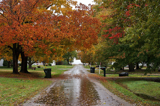 The Street Where I Live