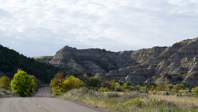 Theodore Roosevelt Natl Park, ND (0477)