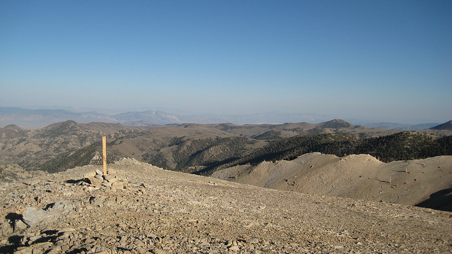 White Mtn Peak 95