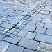 Pavement à Navacelles (Gard, France)