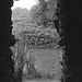 rigardo el la groto (Blick aus der Grotte)