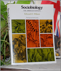 Sociobiology