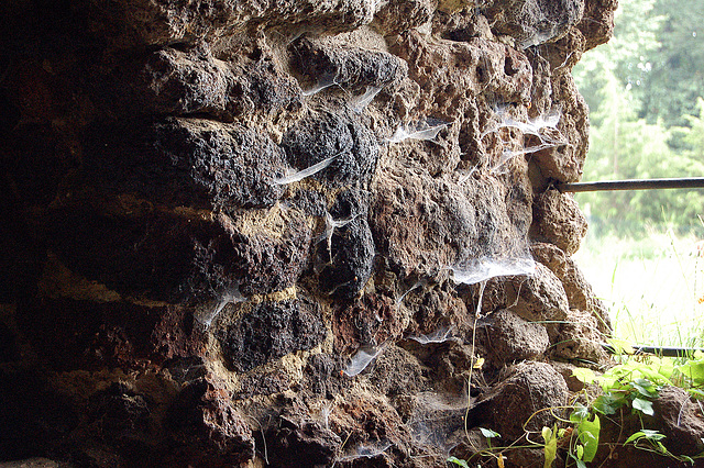 En la groto vivas fantomoj kaj araneaj retoj (In der Grotte leben Phantome und Spinnweben)