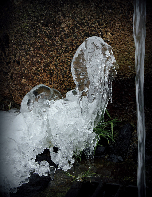 l'âge de glace (2)