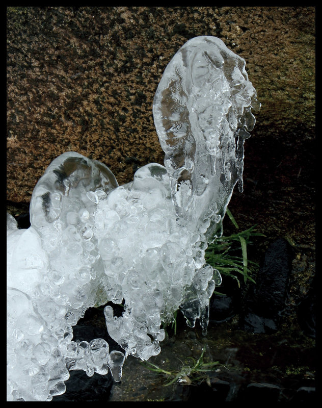 l'âge de glace (3)