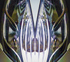 dual.engine.but