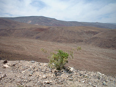 death valley 2 (82)