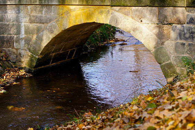 Brücke über den Kaitzbach (2)