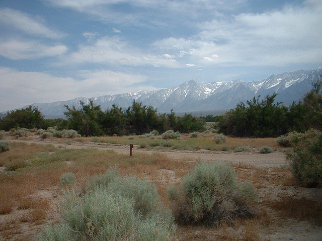 death valley 2 (88)