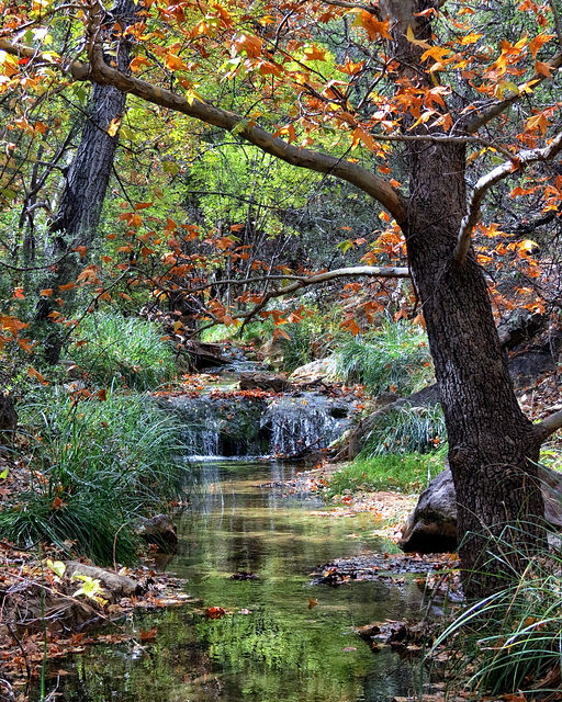 Huachuca Creek