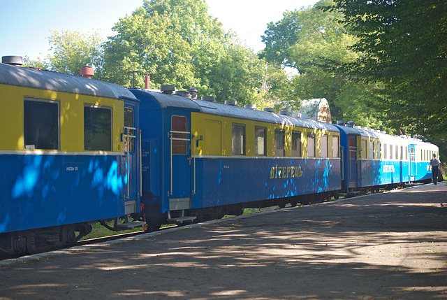 die Pafawag Waggons die Pafawag Waggons