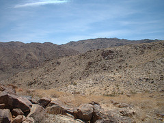 mohave 02