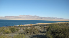 South Nevada 98