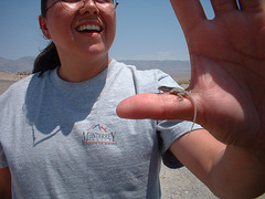 death valley 2 (37)