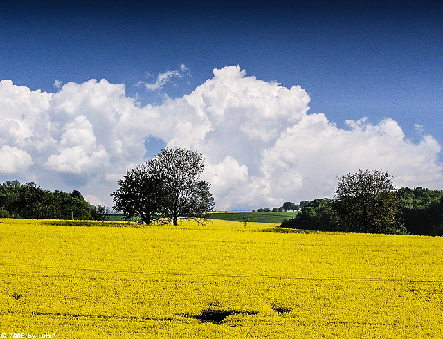 Raps und Wolken - Rapeseed and clouds (015°)