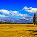 Tuolumne Meadows, Yosemite NP, 1986 (090°)