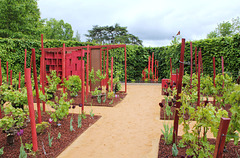 Les parfums du vignoble- Jardin 22 (7) Les parfums du vignoble- Jardin 22 (7)