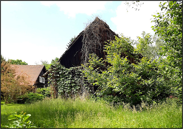 Spreewald 084