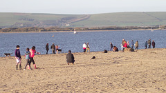 The beach was crowded