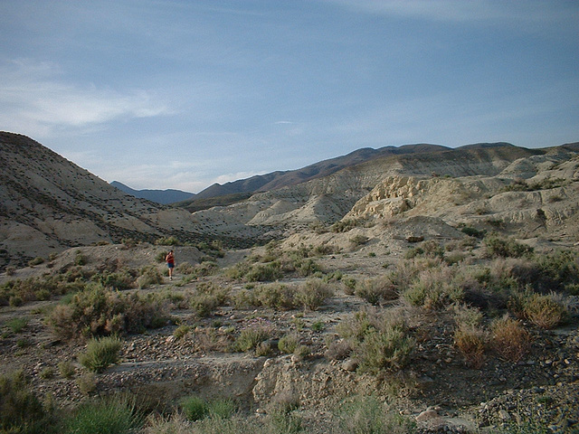 death valley 2 (90)