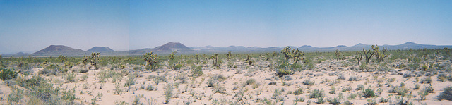 mohave 77