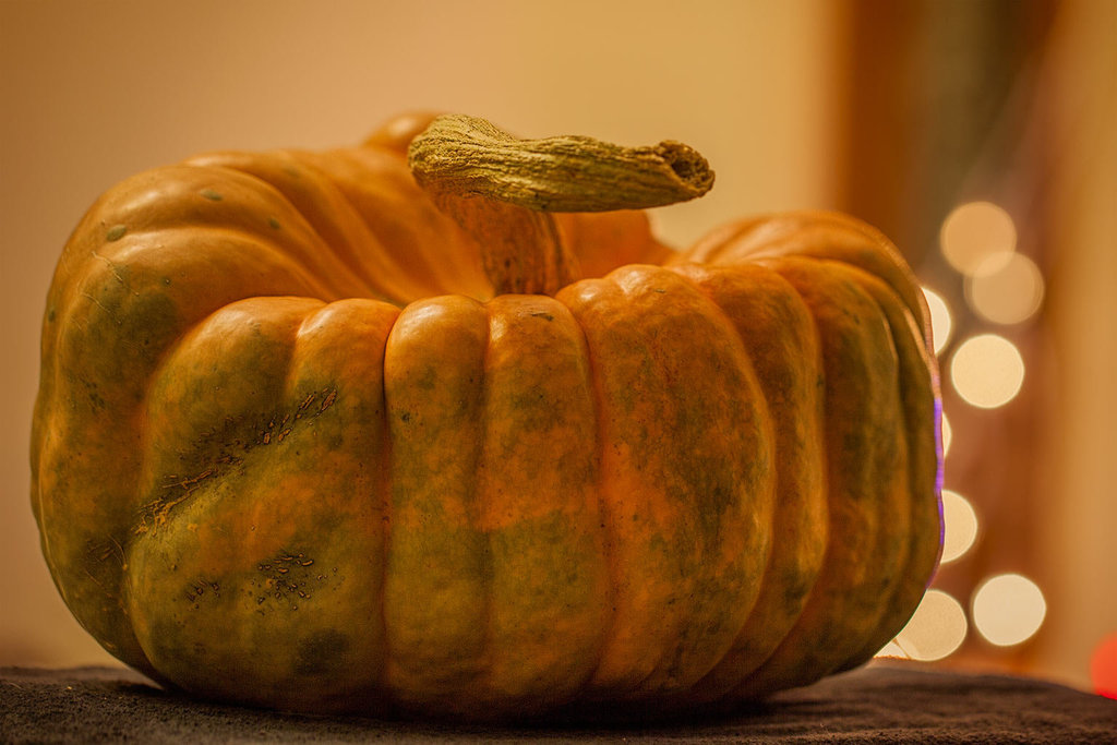 Bokeh Thursday: Behold, a Pink Mottled Pumpkin!