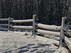 Fence line in winter