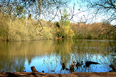 Brokerswood: Lake