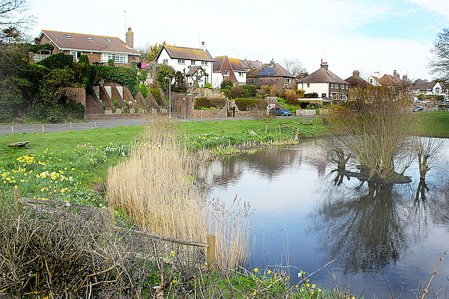 East Blatchington Pond - 17.3.2014