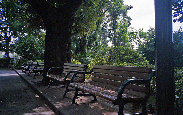 Benches in front of the empty lion cage