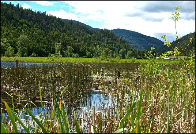 At Highway 5A - BC