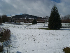 Rodelbahn Oberoderwitz