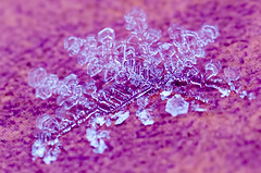 Colorful Frost Abstract