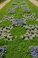 parterre fleuri, Tours