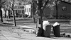 Monday is Trash Day
