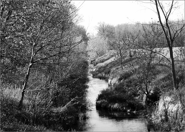 We've straightened the creeks and call 'em drains