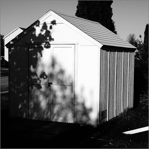 Shadows on Shadows on Shed