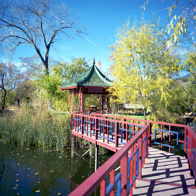 葡萄酒靖國神社 - Wine Shrine