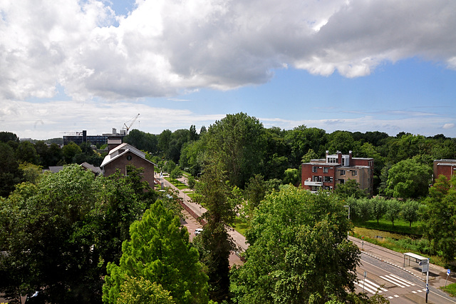 View of the Wassenaarseweg in Leiden