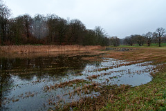 jenisch-park-1170762-co