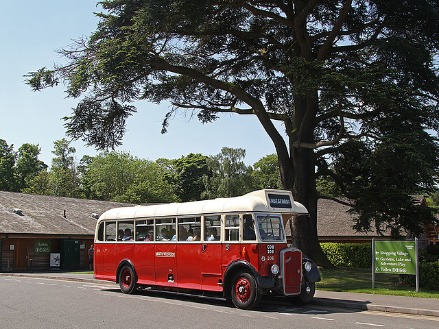 Bristol at Trentham