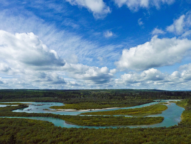 Weaselhead, September 2010