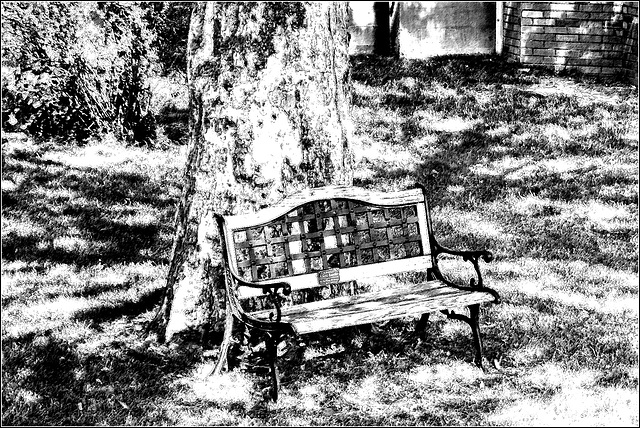 A Bench in the Shade