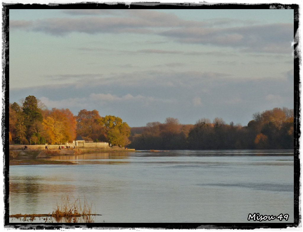 SAINTE GEMMES sur LOIRE