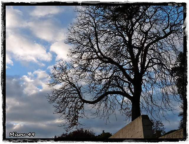 SAINTE GEMMES sur LOIRE