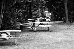 Four Picnic Tables