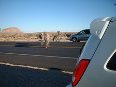 valley of fire 20